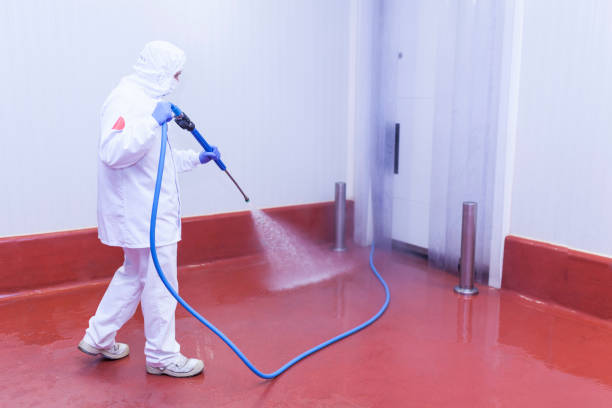 Best Soft Washing  in Rendon, TX